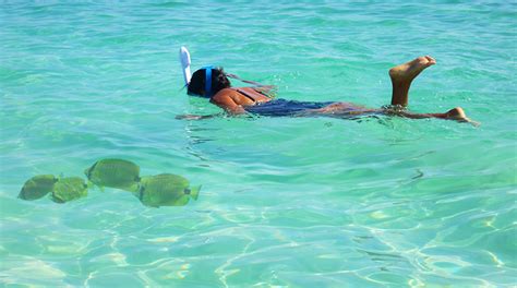 Snorkeling and Scuba Diving CUBA