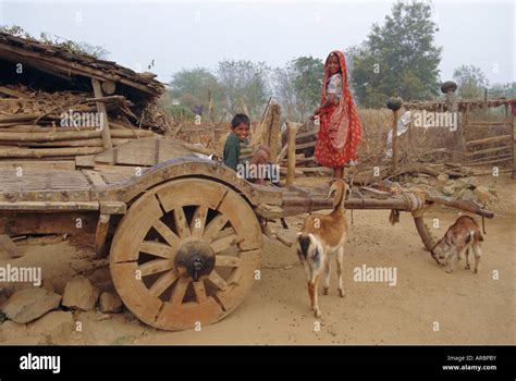 Village life, Dhariyawad, Rajasthan, India Stock Photo - Alamy