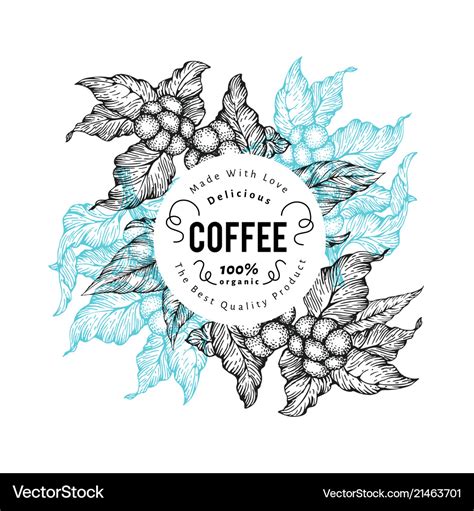 Coffee tree vintage Royalty Free Vector Image - VectorStock