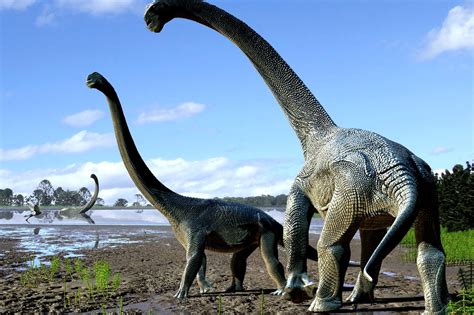 New dinosaur species Savannasaurus discovered in Australia