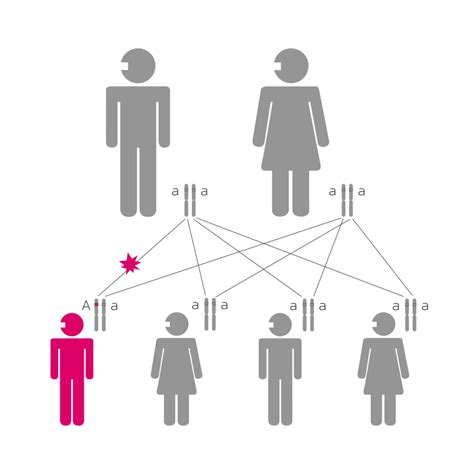 De novo mutation - Health in Code