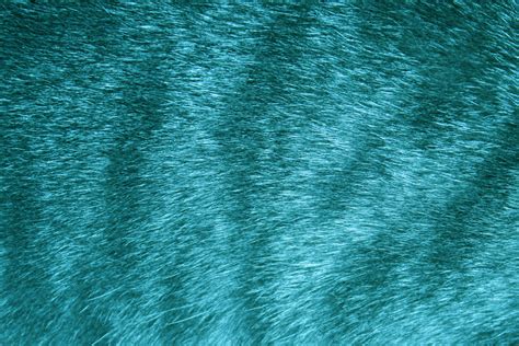 Teal Tabby Fur Texture – Photos Public Domain