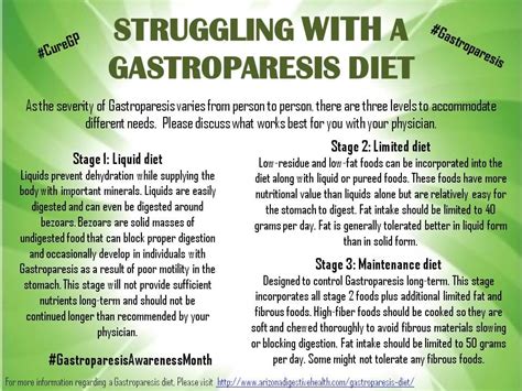 Gastroparesis / Bloating Diet - P.S.TE MD