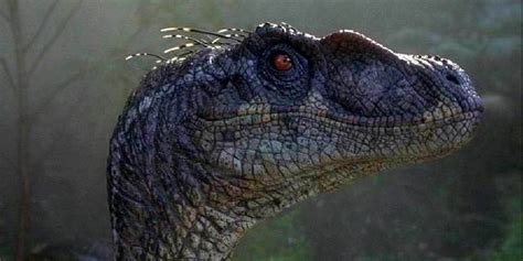 Why Jurassic Park 3's Raptors Are Completely Different