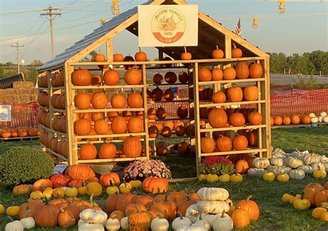 Autumn Harvest Farms pumpkin patch and play area open each weekend until Oct. 29 – Muddy River News