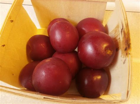 How to Know When a Plum, Pluot, or Plumcot is Ripe?