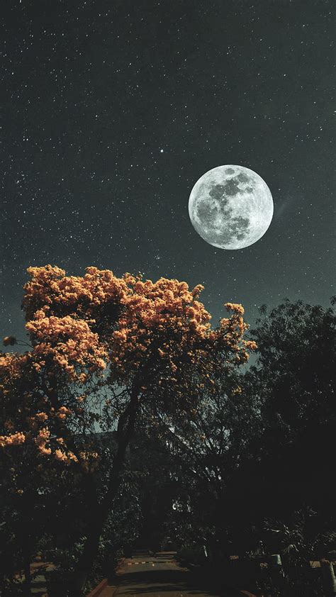 Real Moon And Stars Wallpaper