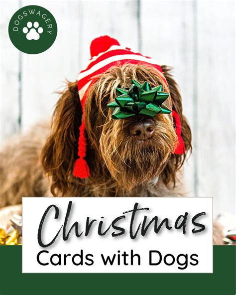 Dog Christmas Cards