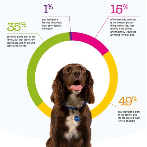 Most Popular Pets In The UK – Pet Statistics | Petplan