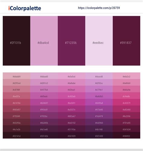 1 Latest Color Schemes with Light Orchid And Prim Color tone combinations | 2024 | iColorpalette