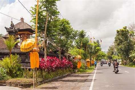 Ubud Bali Tips: What to Know Before Going to Ubud