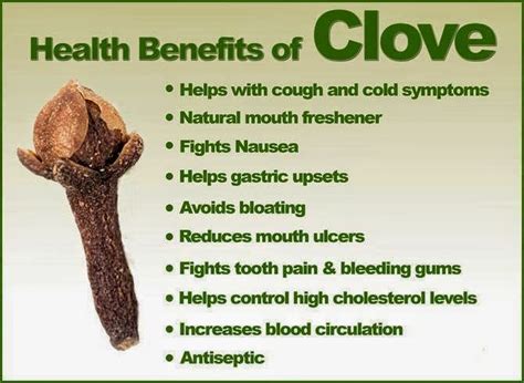 rainbowdiary: Health Benefits Of Cloves