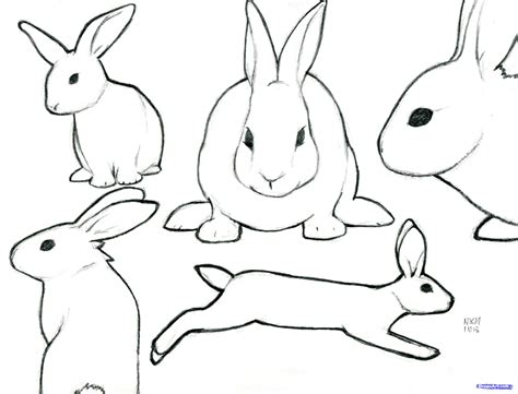 Easy To Draw Bunny Sketch | Sketch Drawing Idea