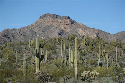 Organ Pipe National Monument