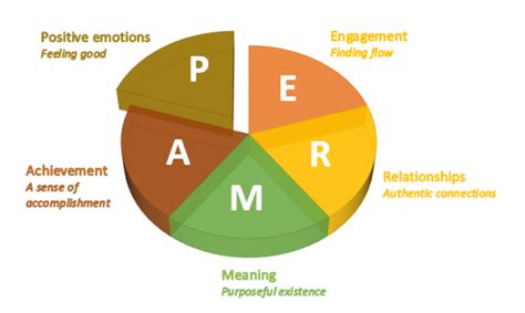 PERMA & Flourishing | Positive psychology | The Positive academy