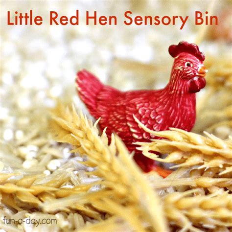 The Story of the Little Red Hen Sensory Bin - Fun-A-Day!