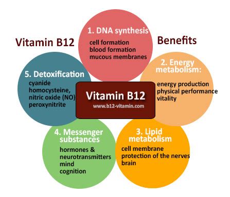 Vitamin B12 Benefits