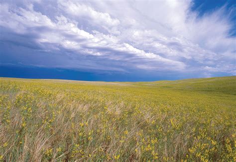 Tropical Grassland Climate