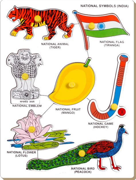 Little Genius National Symbols-India - National Symbols-India . shop for Little Genius products ...