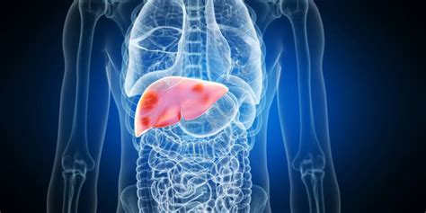 What happens inside the body when the liver grows in size? | Dr. Manoj Dongare