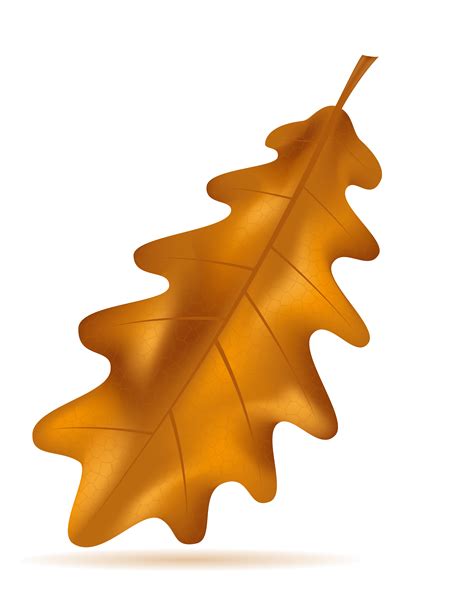 autumn oak leaves vector illustration 510644 Vector Art at Vecteezy