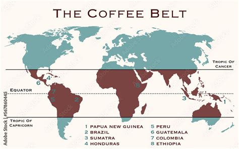 The area of the world, known as coffee belt, which includes the major coffee producing countries ...