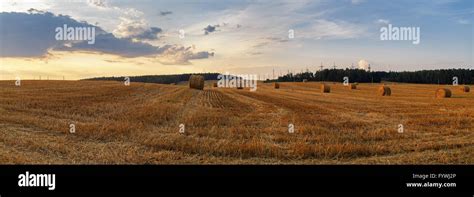 Straw bales in the sunset Stock Photo - Alamy