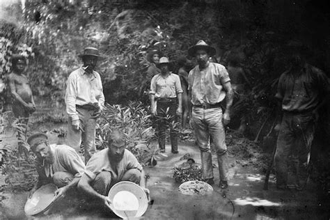 10 Facts About the Australian Gold Rush | History Hit