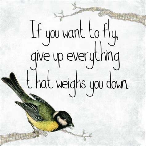 Inspirational Bird Quote Freedom Free Stock Photo - Public Domain Pictures