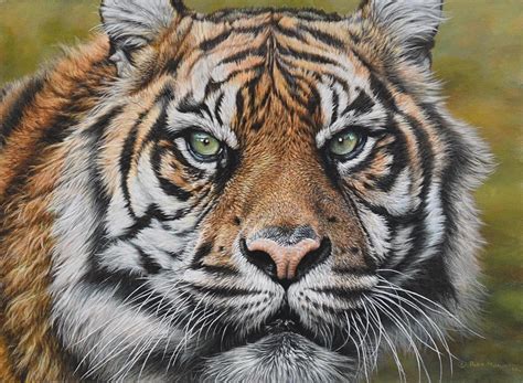 Acrylic Paintings Of Tigers