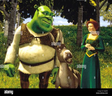 Princess Fiona And Shrek Shrek Film Series Princess Fiona Donkey Mike | Images and Photos finder