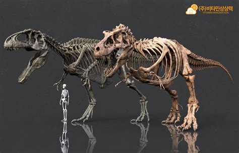 Vitamin Imagination - Giganotosaurus & Tyrannosaurus skeleton by. Vitamin Imagination