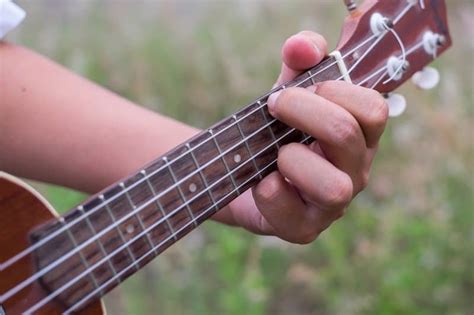 The 8 Best Ukulele Strings You Can Upgrade To! - StringVibe