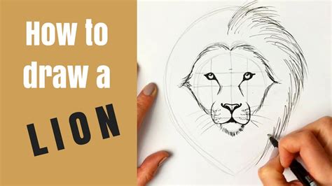 How To Draw A Lion Step By Step | AESTHETIC DRAWING