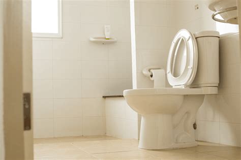 5 Best Water Saving Toilets of 2025 – Reviews & Buying Guide