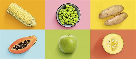 Genetically Modified Food Examples