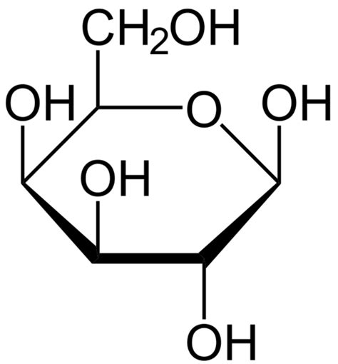 Haworth Structure Of Galactose