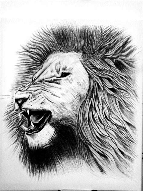 Lion Pencil Sketch Drawing | lupon.gov.ph