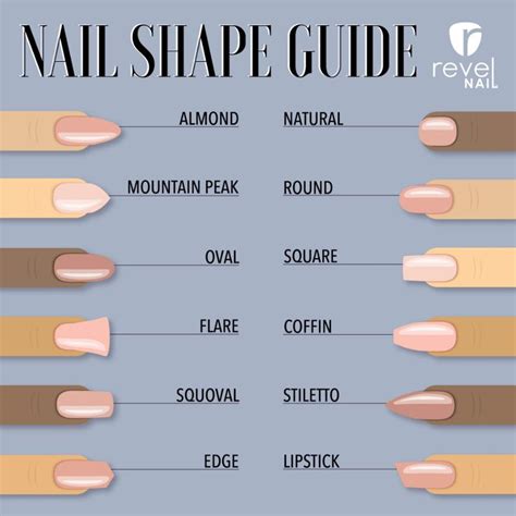 Choosing a Perfect Nail Shape! | Revel Nail Dip Powder | Acrylic nail shapes, Nail shapes ...