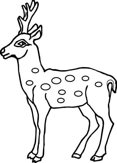 Deer Head Outline Drawing at PaintingValley.com | Explore collection of Deer Head Outline Drawing