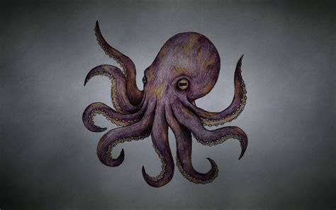 Octopus Wallpapers - Wallpaper Cave