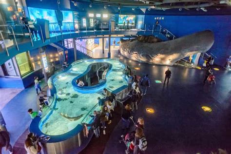 Barcelona Aquarium: Skip-the-Line Admission Ticket | GetYourGuide