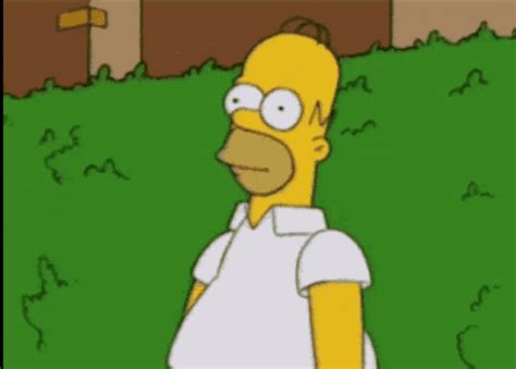 Hiding Meme GIF - Hiding Meme Homer - Découvrir et partager des GIF