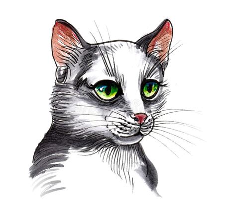 Cat with green eyes stock illustration. Illustration of animal - 231585249