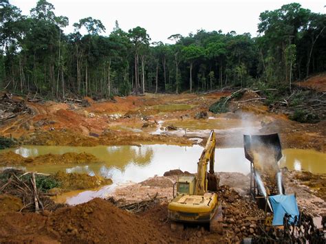 How Does Deforestation Affect The Amazon - Sybyl Eustacia