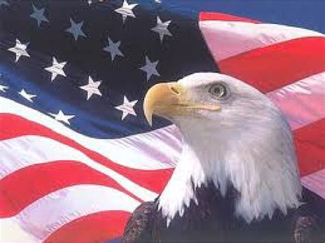 American Flag with Eagle Wallpaper - WallpaperSafari