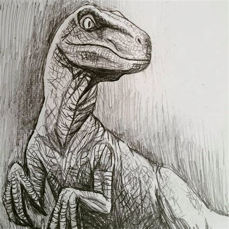 Jurassic World Velociraptor by Jezarae on DeviantArt