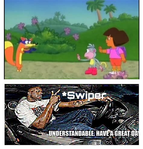 Dora: Swiper no swiping! : r/memes