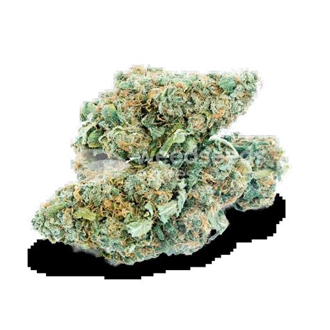 ᐅ Blue Dream seeds • Feminized • Weedseedsexpress