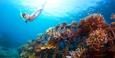 Blue Lagoon Snorkeling | Bali Snorkeling on The Crystal Clear Water